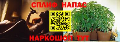 ECSTASY Можга